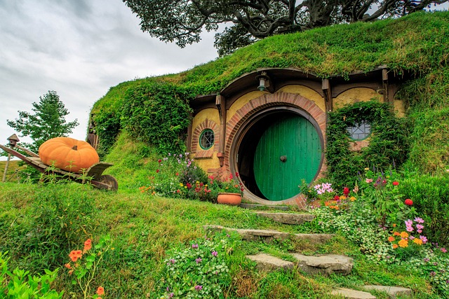 Il Signore degli anelli come non lo avete mai visto!